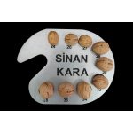 Ceviz Kalibre Cetveli