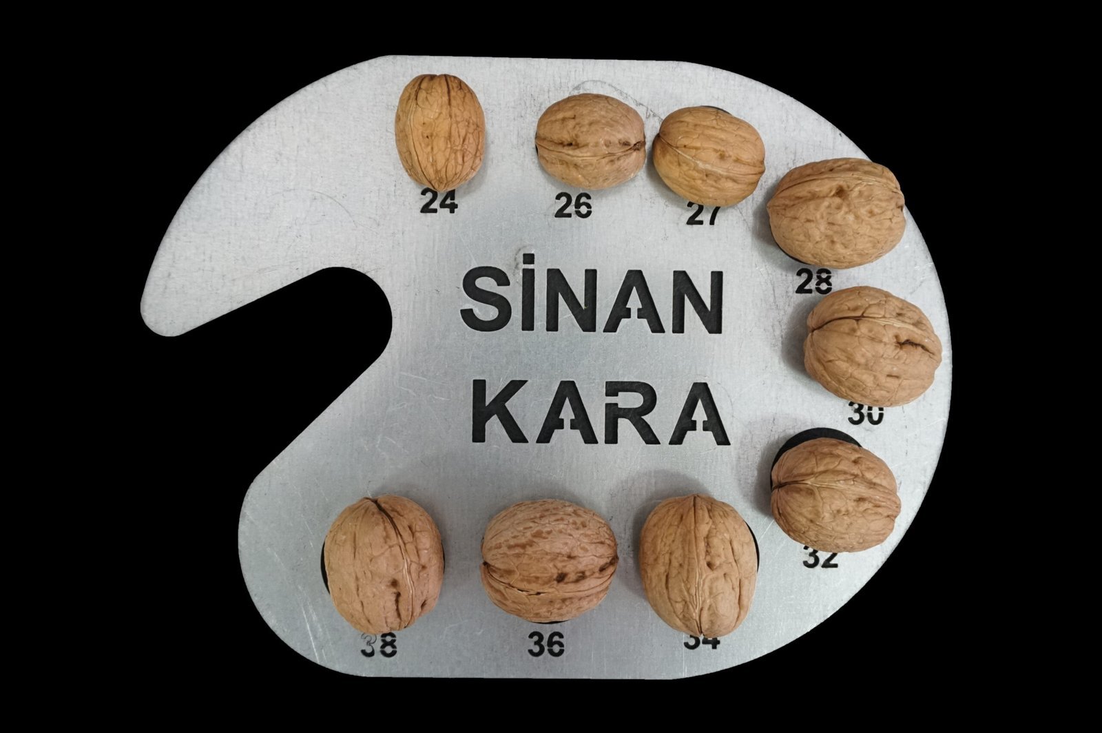 1-scaled Ceviz Kalibre Cetveli - Görsel 1