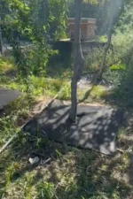 BİTKİ PASPASI (160*160 cm) 10'lu - Görsel 3