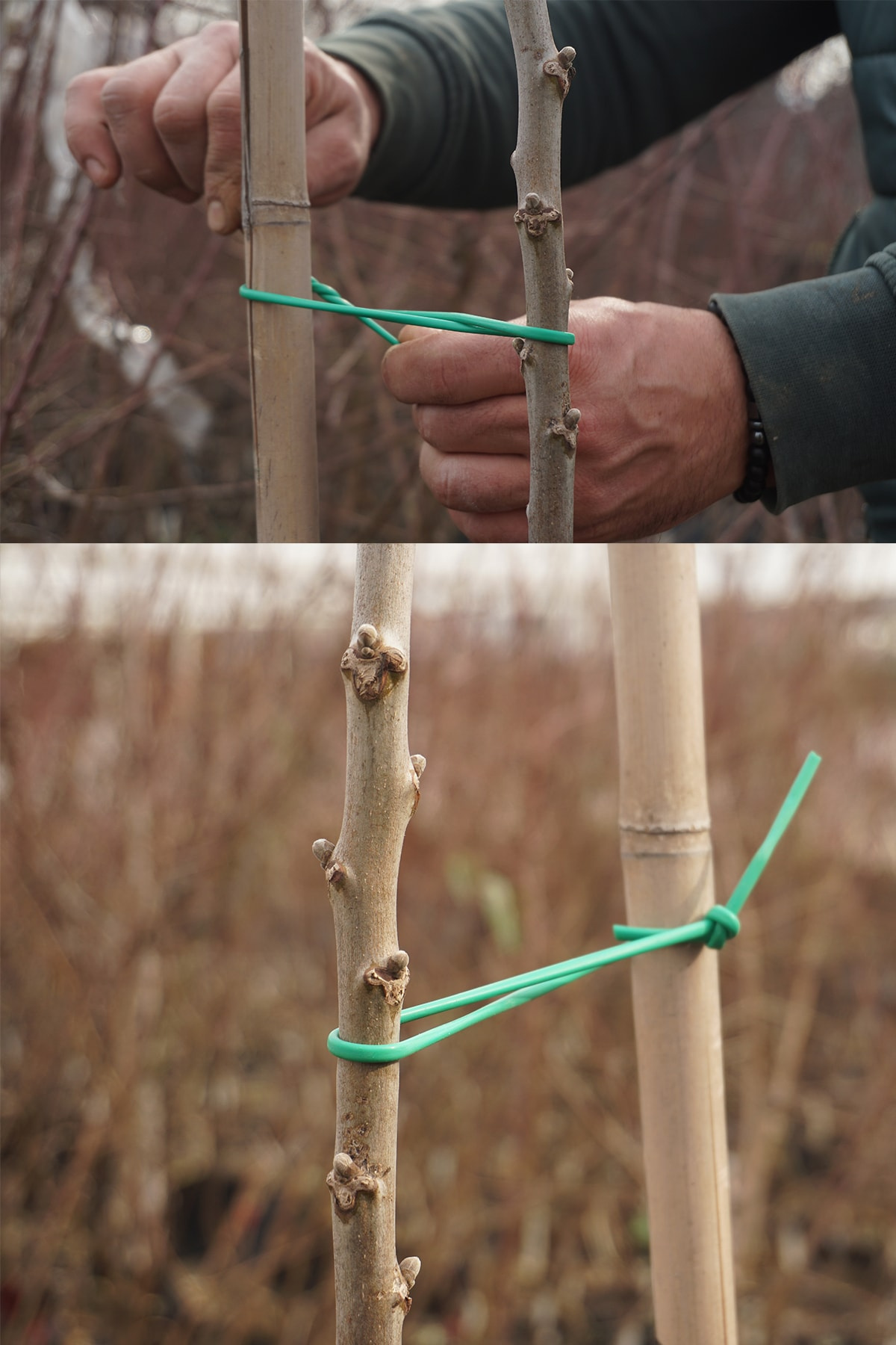 Arel Tarım Fidan Bağlama İpi 1kg 3mm