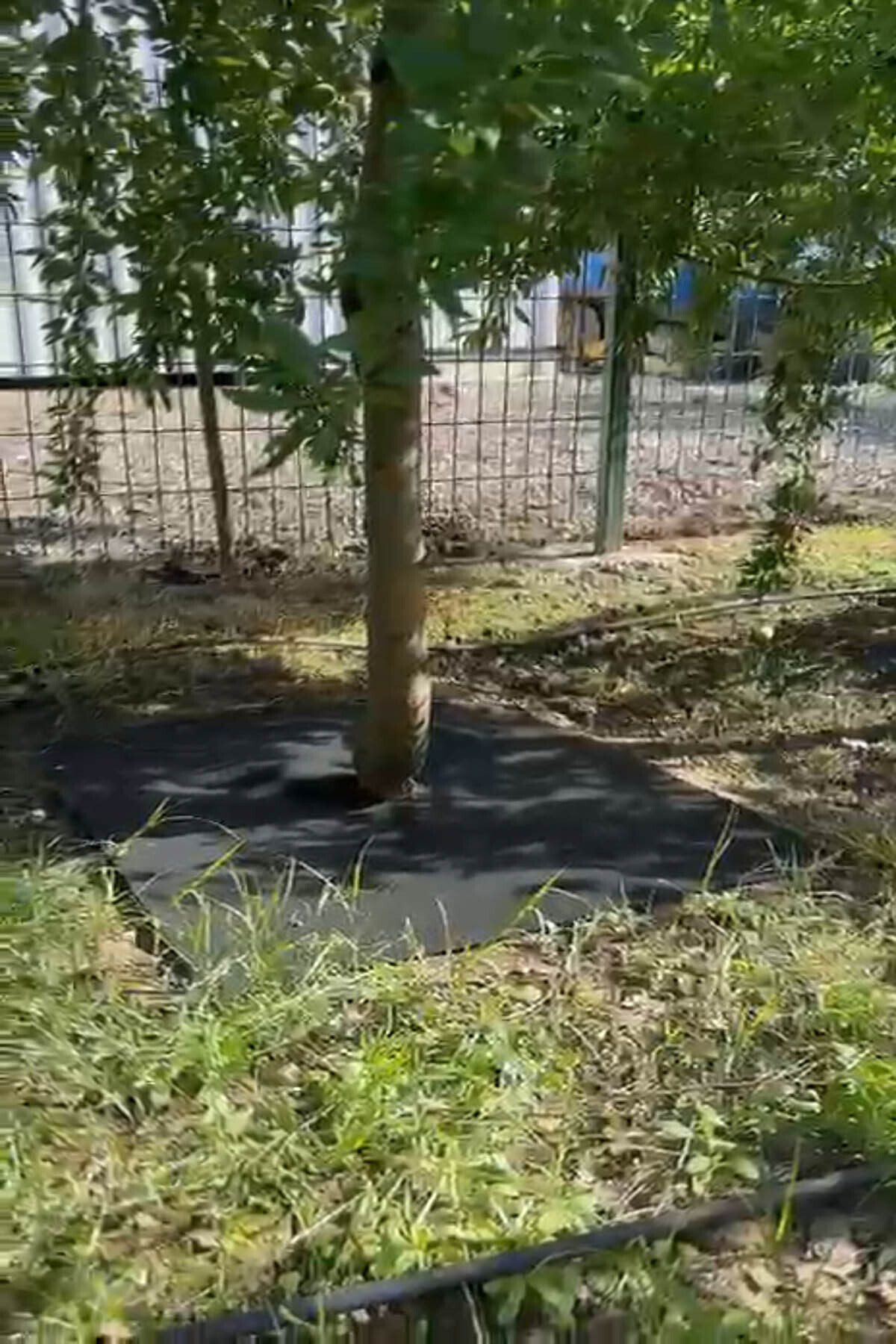 Arel Tarım Bitki Paspası (80*80 cm) 5'li - Görsel 3