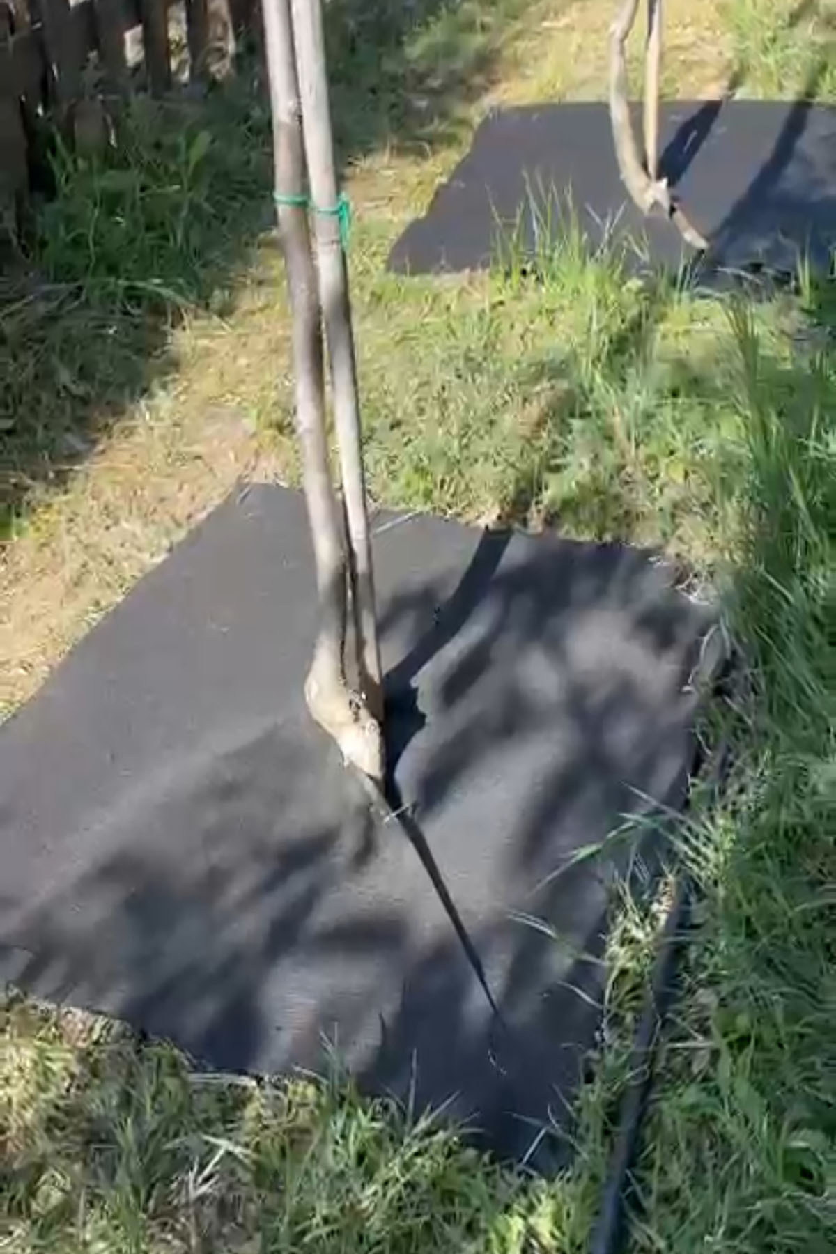 Arel Tarım Bitki Paspası (80*80 cm) 5'li - Görsel 2