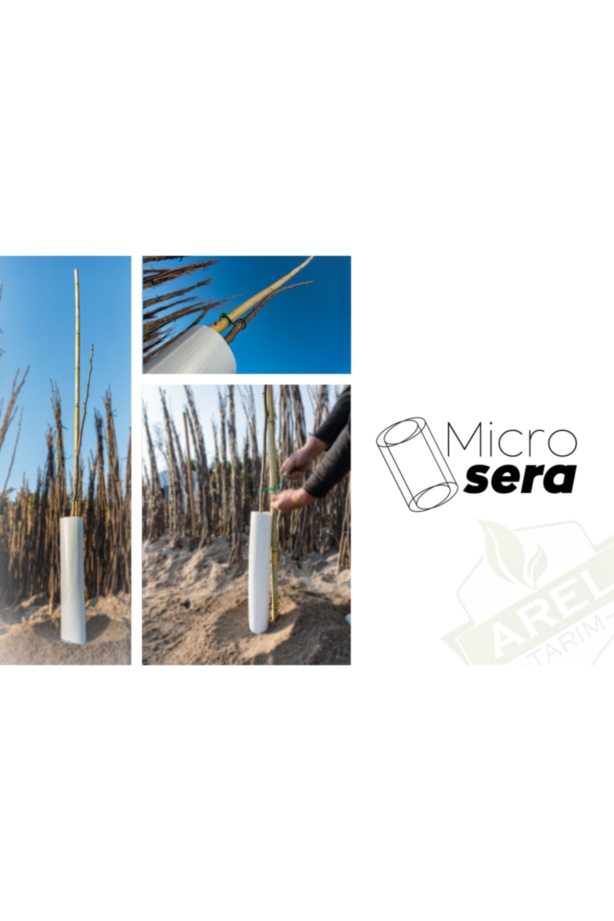 Arel Tarım 5'li Fidan Koruma Tüpü (Mikrosera)