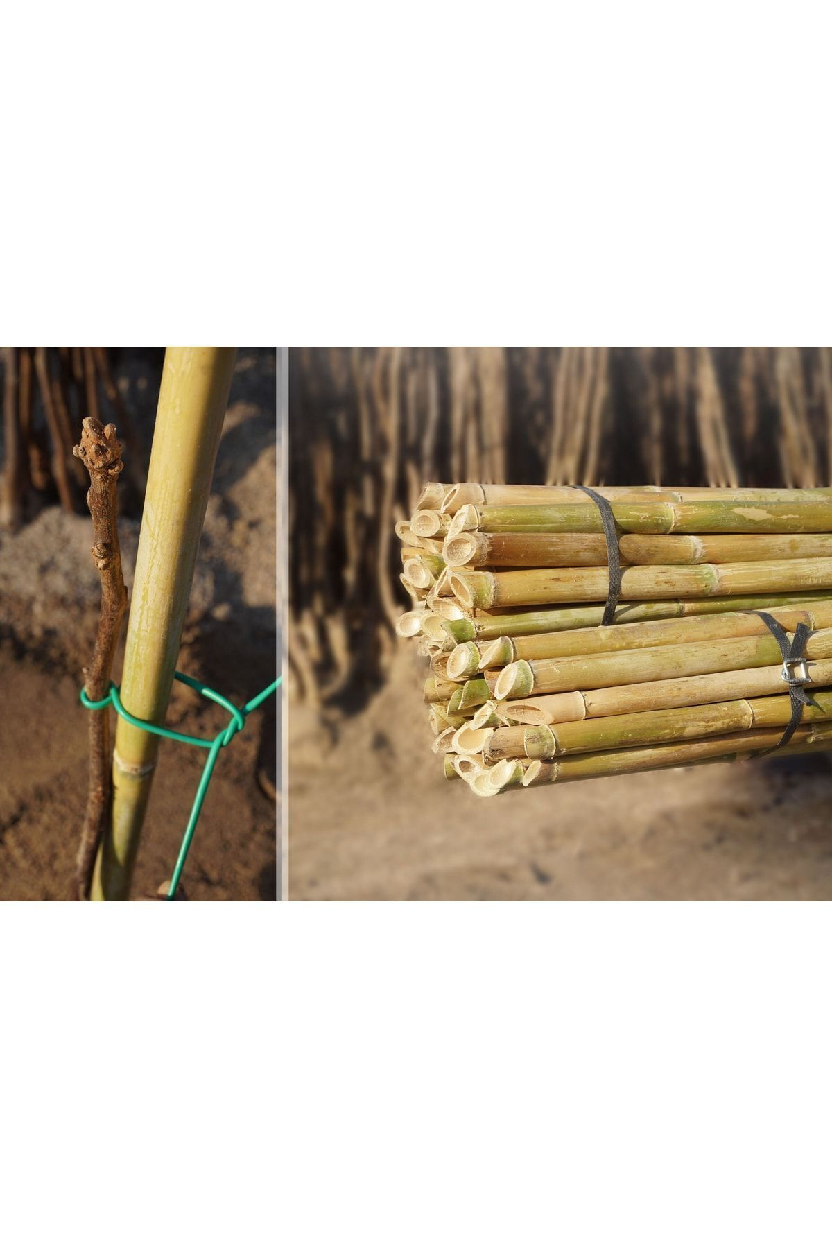 Arel Tarım Kargı 150 cm Bitki Destek Çubuğu