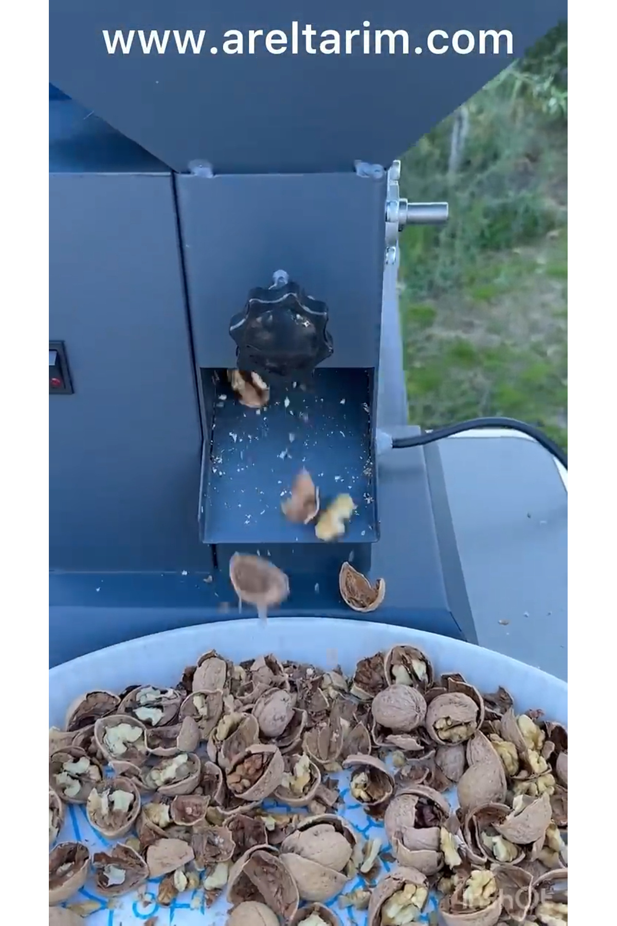 Arel Tarım Ceviz Kırma Makinesi - Görsel 4