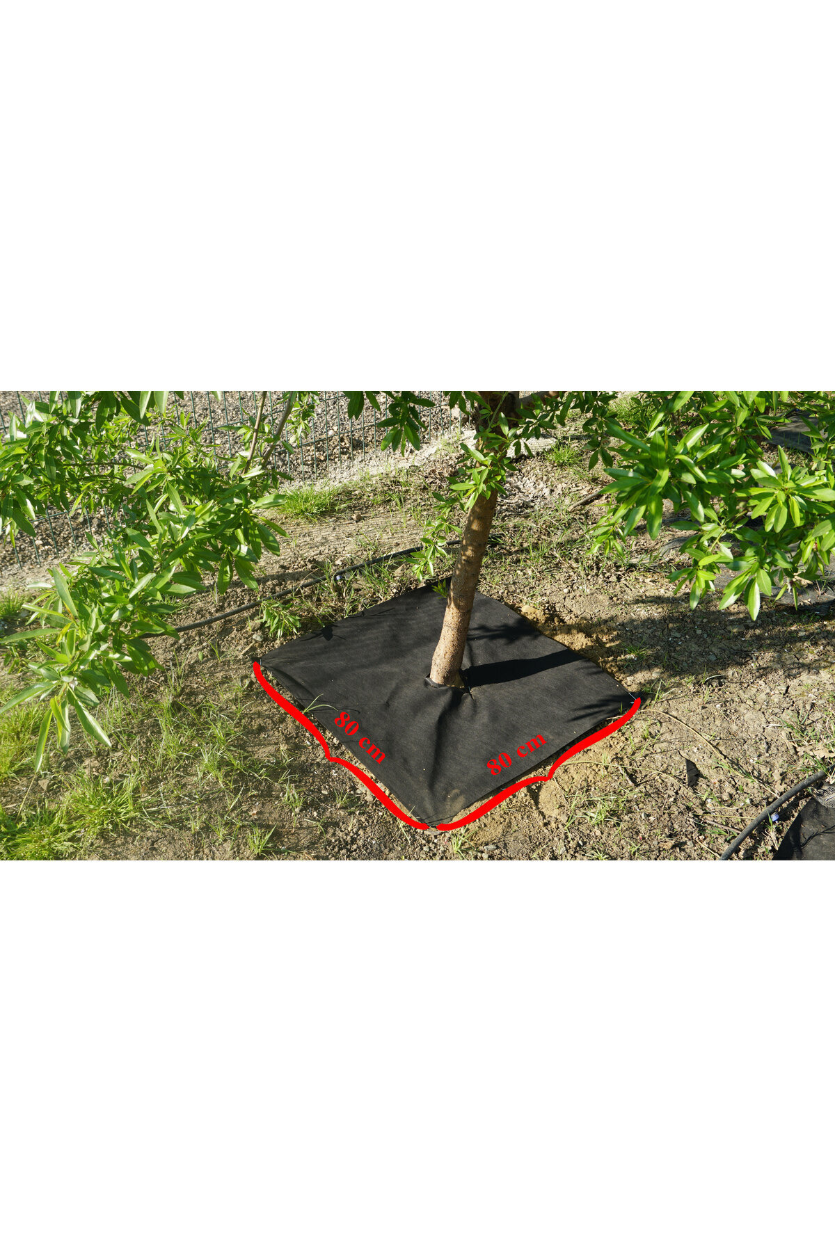 Arel Tarım Bitki Paspası (80*80 cm) 5'li - Görsel 5