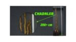 Açık Köklü Chandler Ceviz Fidanı- (200+ cm)