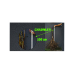 Açık Köklü Chandler Ceviz Fidanı   (100-150cm)