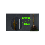 Açık Köklü Fernor Ceviz Fidanı (100-150 cm)