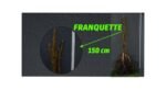 Açık Köklü Franquette Ceviz Fidanı   (100-150cm)