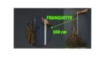 Açık Köklü Franquette Ceviz Fidanı   (100-150cm) - Görsel 2