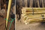 Kargı-(150 cm) Bitki Destek Çubuğu (10'lu paket)