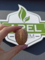 Kuru Ceviz (5kg) - Görsel 2