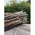 Aşı Çubuğu Chandler - 100 cm (5'li Paket) - Görsel 2