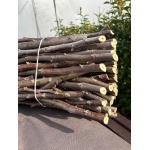 Aşı Çubuğu Chandler - 100 cm (5'li Paket) - Görsel 3