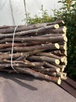 Aşı Çubuğu Chandler - 100 cm (5'li Paket) - Görsel 3