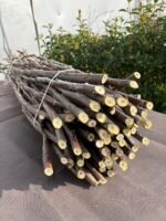 Aşı Çubuğu Chandler - 100 cm (5'li Paket)